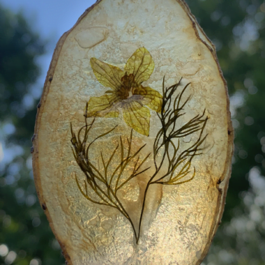 looking through windowpane potato chip
