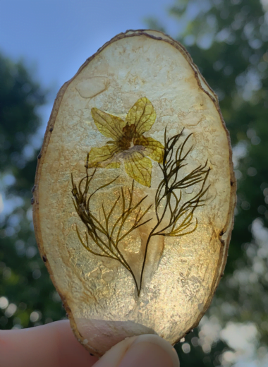 looking through windowpane potato chip