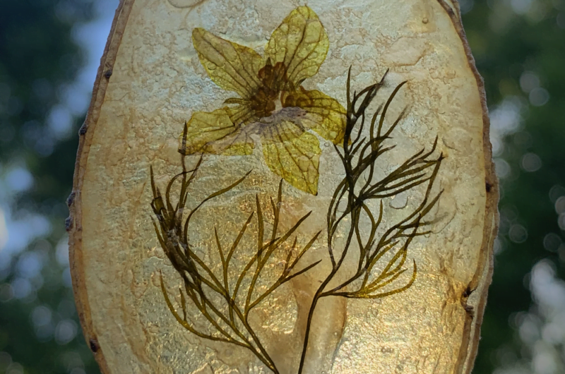 Fool-Proof Windowpane Potato Chips