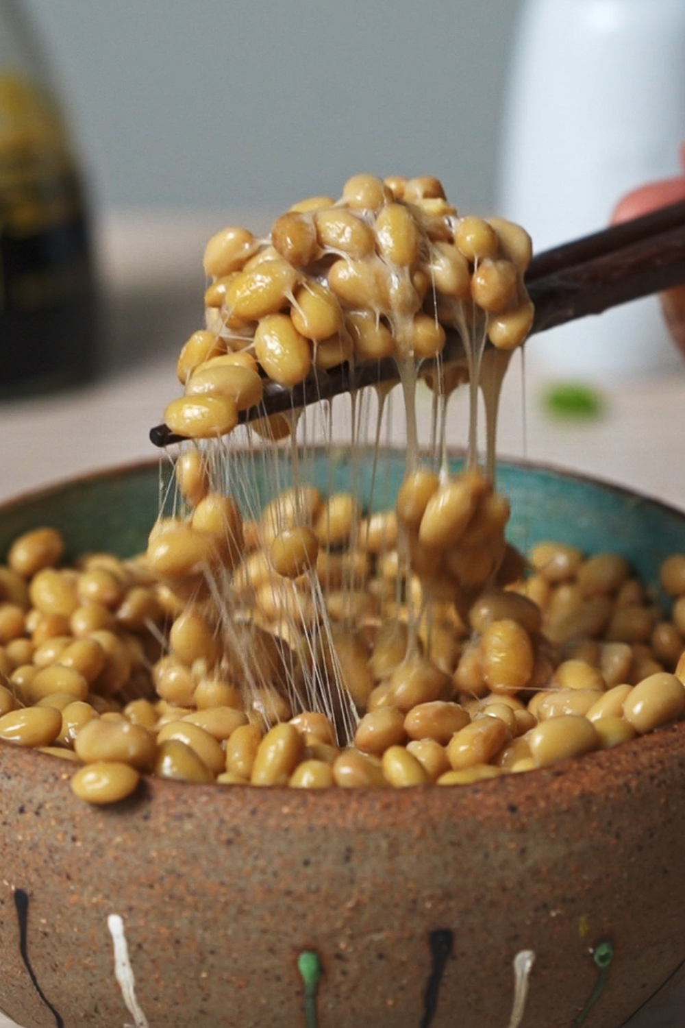 instant-pot-natto-close-up_1.2